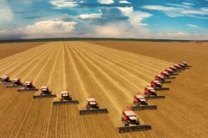 Produto Interno Bruto da agropecuária cresceu 0,7% no primeiro trimestre de 2026