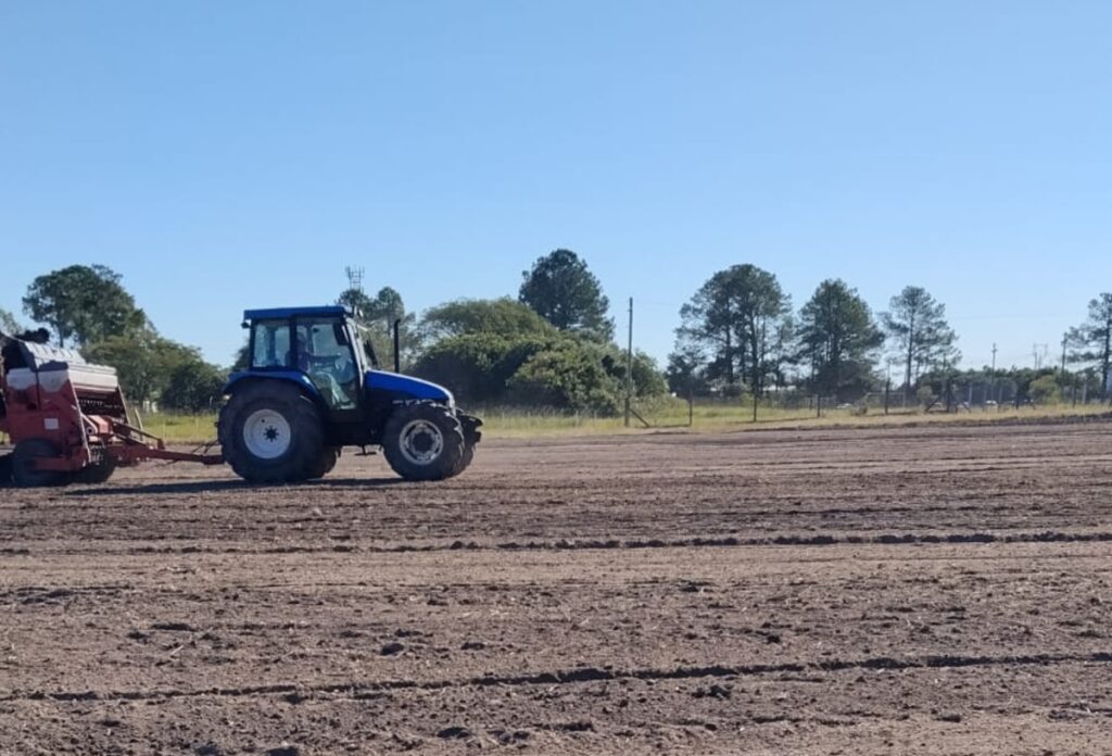 Colheita do Arroz: organizadores iniciam preparo das áreas para 2027