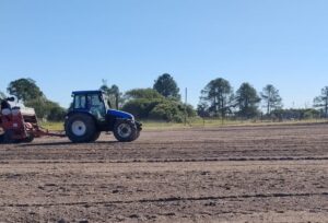 Colheita do Arroz: organizadores iniciam preparo das áreas para 2027