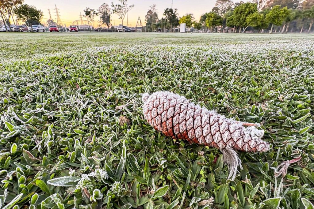 Sinais de inverno: maio terá frentes frias, geada e temperaturas abaixo de 10°C