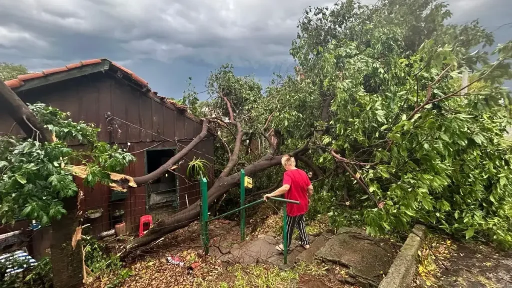 Onda de tempestades começa com vendaval e estragos na fronteira gaúcha