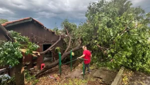 Onda de tempestades começa com vendaval e estragos na fronteira gaúcha