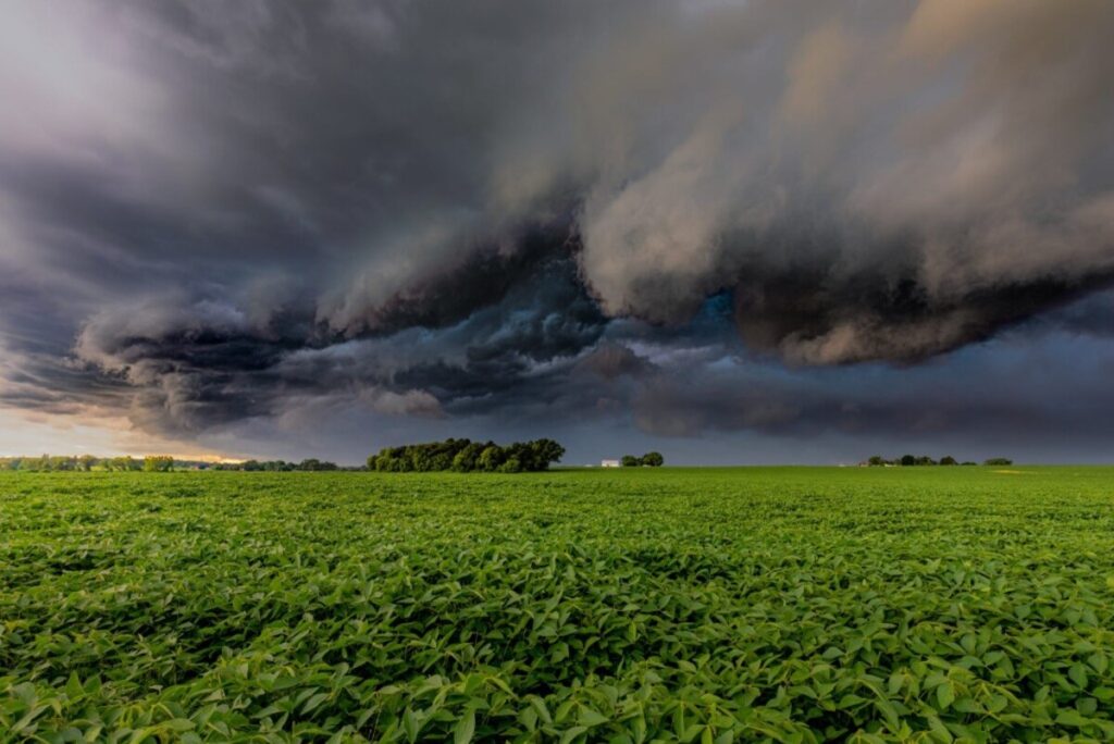 EL Niño vem turbinado e vai afetar calendário agrícola no Brasil