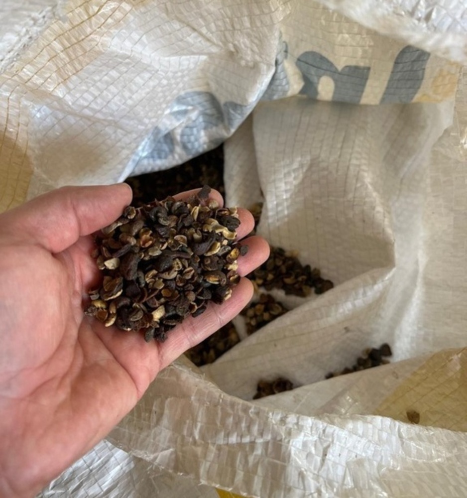 Operação apreende 82 mil quilos de produtos relacionados à produção de café torrado