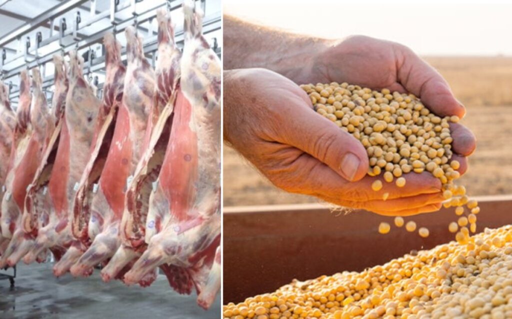 Carnes e soja fazem exportações do agro somar R$ 80 bilhões em maio