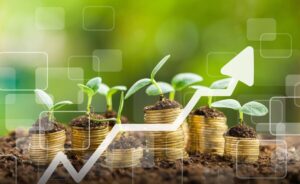 Pecuária faz Valor Bruto da Produção Agropecuária somar R$ 1,4 trilhão