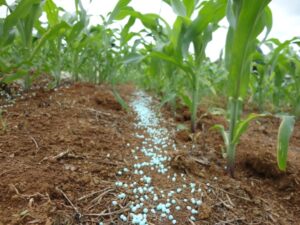 Projeto prevê R$ 10 bilhões para fortalecer produção de fertilizantes