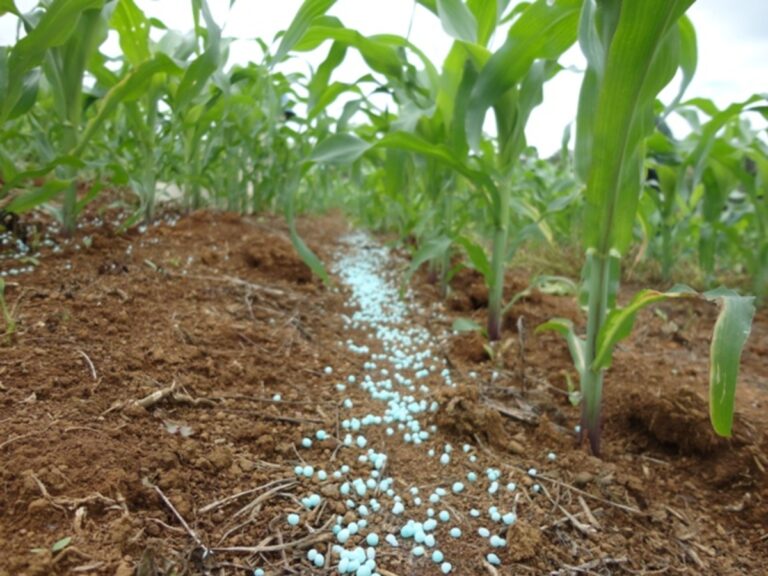 Projeto prevê R$ 10 bilhões para fortalecer produção de fertilizantes