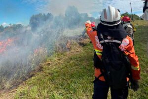 IDR-PR participa de campanha de prevenção e combate a incêndios florestais