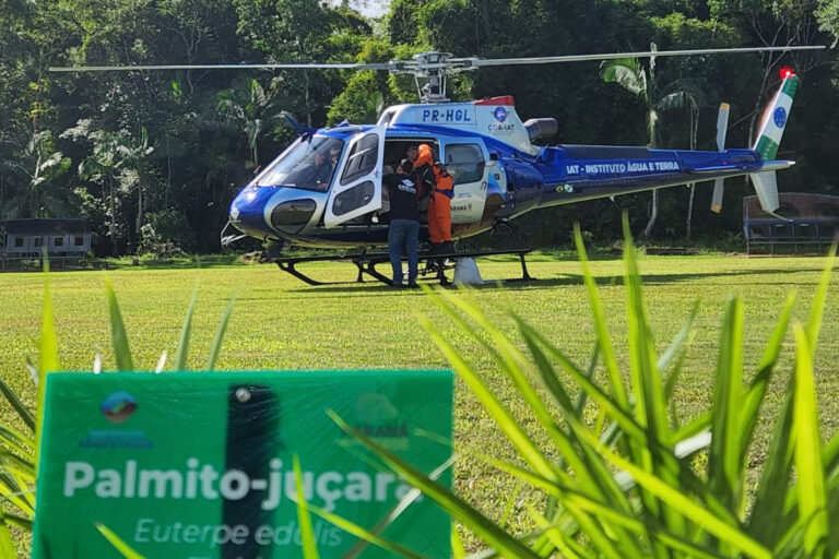 IAT faz dispersão de 700 mil sementes de palmito-juçara para restaurar a Mata Atlântica