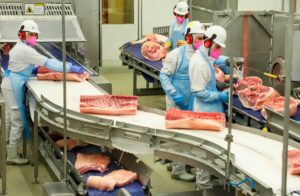 Exportações de carne suína batem recorde, mas setor enfrenta dificuldades