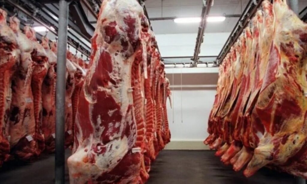Exportação de carne cresce 29,6% e rende R$ 14,5 bilhões