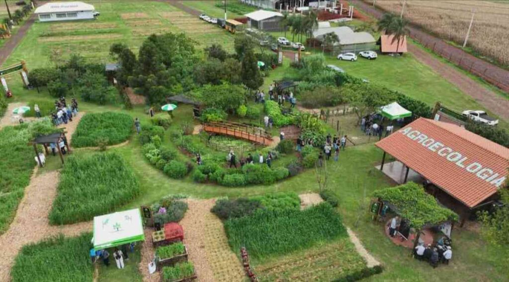 Agroecologia ganha espaço como rota para campo mais resiliente