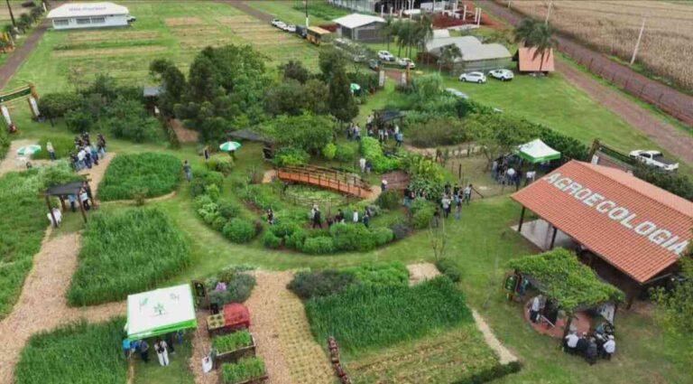 Agroecologia ganha espaço como rota para campo mais resiliente
