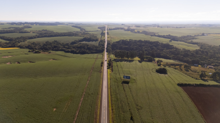 EPR Iguaçu inicia última etapa da regularização de áreas de plantio às margens das rodovias