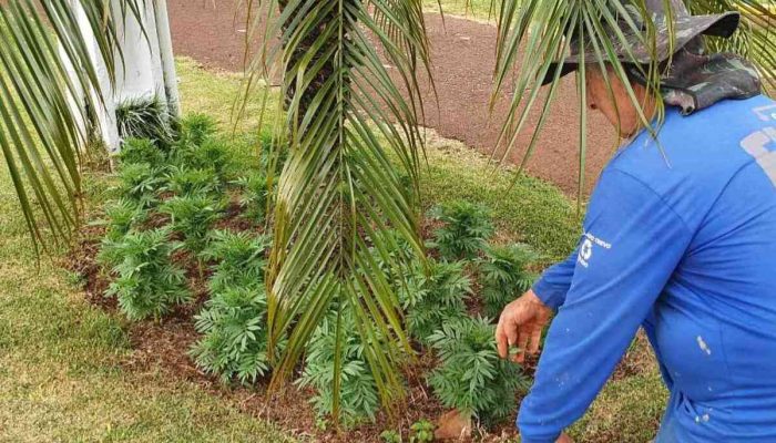 Crédito: Assessoria