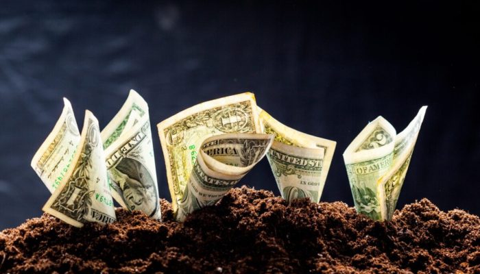 Imagem: Reprodução Feagro