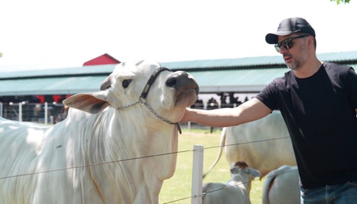 Foto: Assessoria FAG