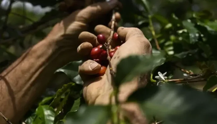 Imagem: Anadolu/Getty Images