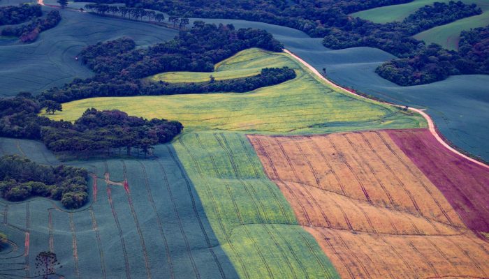 Foto: Foto: Jonathan Campos/AEN