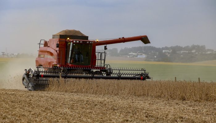 Foto: Gilson Abreu/Arquivo AEN