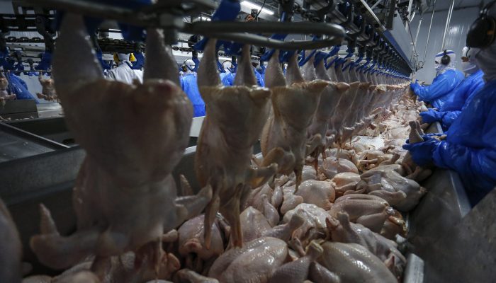 Foto: Jonathan Campos/AEN