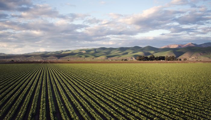 An aerial shot of a beautiful agricultural green field near mountains