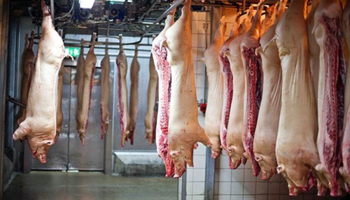 Imagem: Reprodução Pensar Agro