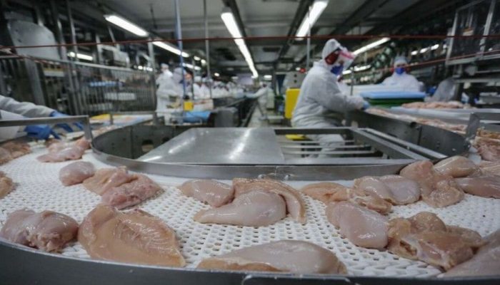 Foto: Jonathan Campos/AENPR