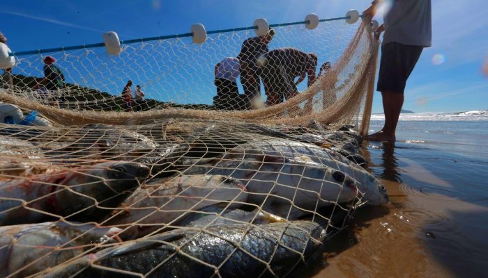 Crédito: Mauricio Vieira / Secom