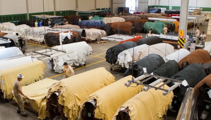 Imagem: Reprodução Feagro