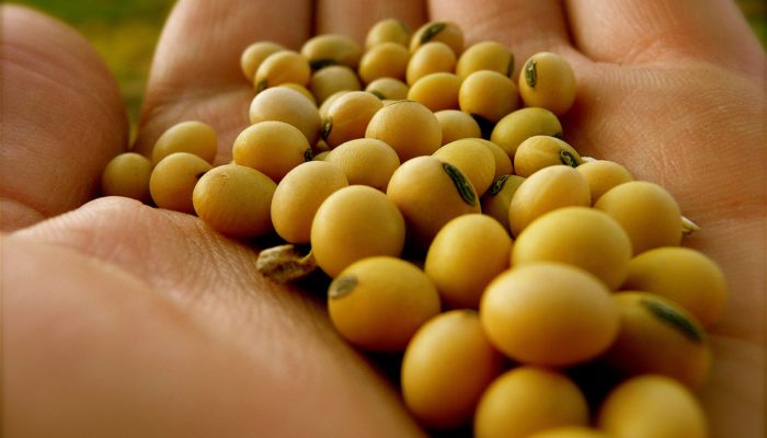 Imagem: Reprodução Feagro