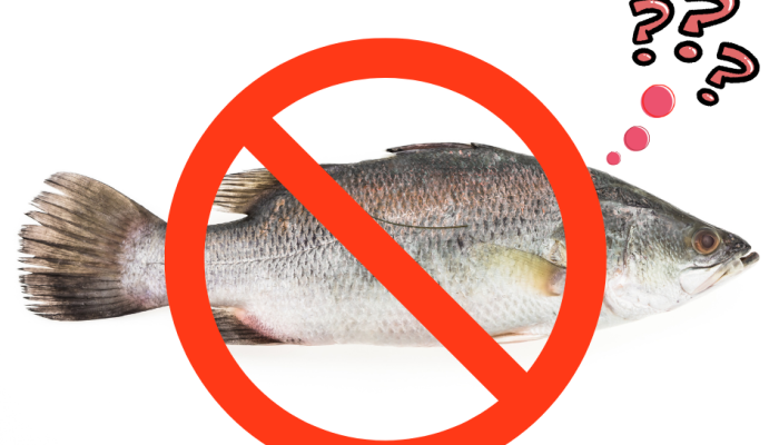 Imagem: Atomic/Freepik